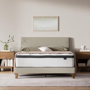 Signature Design by Ashley Chime Hybrid Queen 12" Mattress with Gel Memory Foam, Medium Firm, Pressure Relief, Fiberglass Free Mattress in a Box