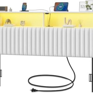 Rolanstar Headboard for Queen Size Bed with Storage, Head Board with USB & Type C Port, 60,000 DIY Color of LED Light, Velvet Upholstered, Height Adjustable, Sturdy, Easy Assembly, White