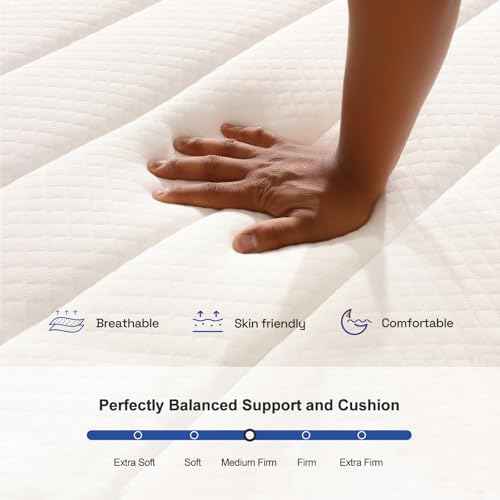 Hotkid,Queen Mattress,10 Inch High Density Foam Hybrid Mattresses in a Box with Individual Pocket Spring,Queen Size mattresses,Breathable Supportive and Pressure Relief,Guest and Kids Bedroom