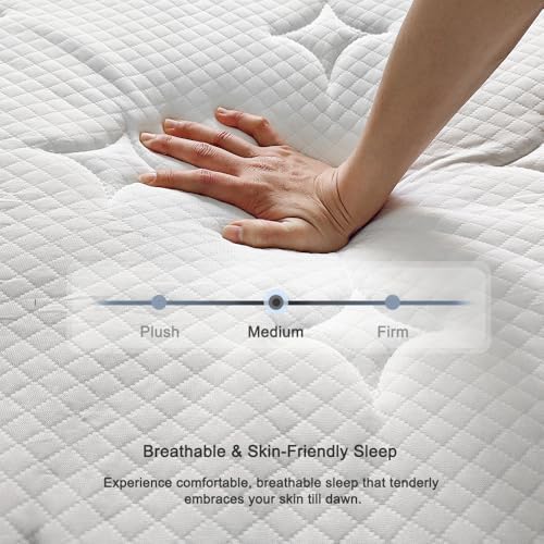 EIUE Mattress,Pocket Spring,Medium Firm,Breathable & Supportive,Queen,10 Inch Hybrid,White