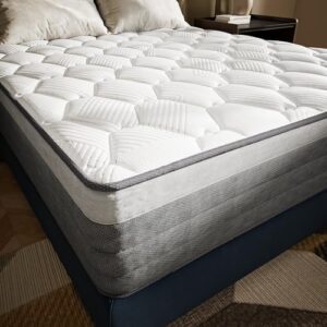 TXO Queen Mattress 12 Inch, Medium Feel Hybrid Mattress, Cool & Dry Anti-Static Cotton Knit, Easy to Clean, Wave Memory Foam and Enhanced Pocketed Springs for Pressure Relief and Back Pain Relief