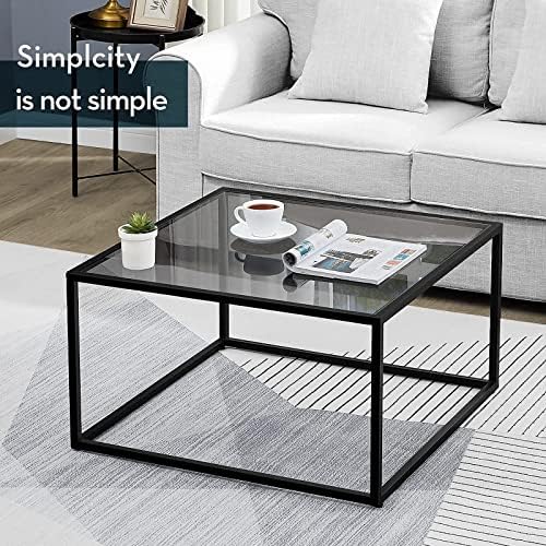 SAYGOER Glass Coffee Table, Small Modern Coffee Table Square Simple Center Tables for Living Room 26.7 x 26.7 x 17.7 Inches, Gray Black