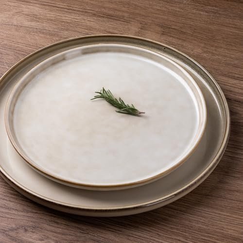 GBHOME Ceramic Dinnerware Sets for 4, 12 Pieces Stoneware Plates and Bowls Sets, Scratch Resistant Dishes, Dishwasher & Microwave Safe, Reactive Glaze-Cappuccino