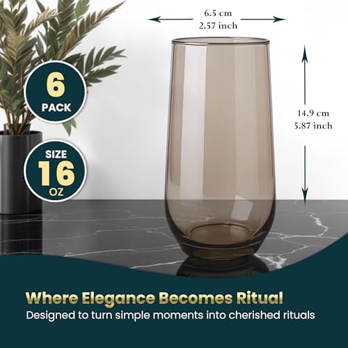 Smokey Sand Drinking Glasses Set of 6 | Translucent Brown Glassware | 16 oz Brown Glass Cups | Highball Drinkware for Cocktails, Long Drink, Mojito, Juice, Soda | Modern Tortoise Drinkware