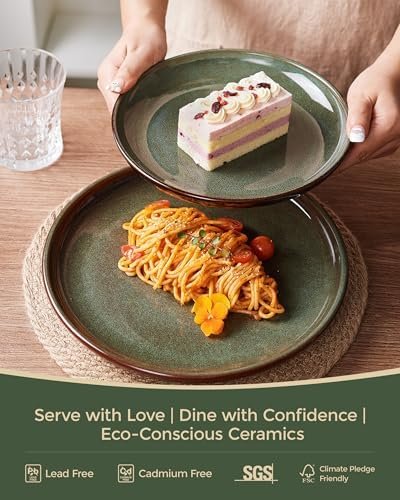 Pokini Stoneware Dinnerware Sets Service for 4, 12 pcs Reactive Glaze Plates and Bowls Sets, Handmade Ceramic Dish Set, Highly Chip and Crack Resistant Modern Plate Set, Brown Green